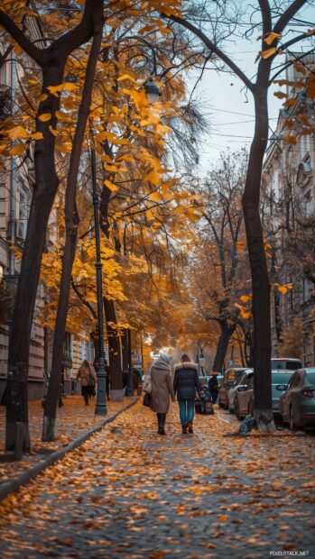 City street in autumn, trees with vibrant fall colors, people walking with scarves and coats, golden leaves on the ground.