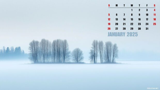 Cool January 2025 Calendar Backgrounds.