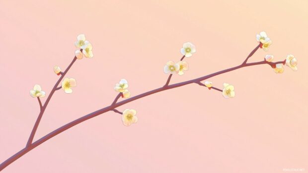 Cute close up of tiny spring blossoms on a branch.