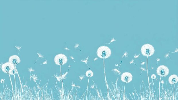 Cute minimalist field of dandelions with fluffy white seed heads swaying in the breeze under a clear blue sky.