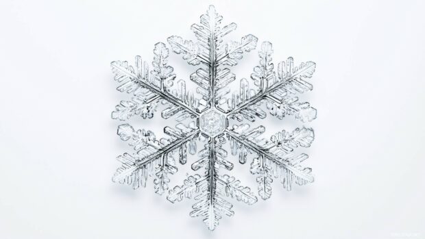 Cute winter background with a single, perfect snowflake captured in intricate detail.