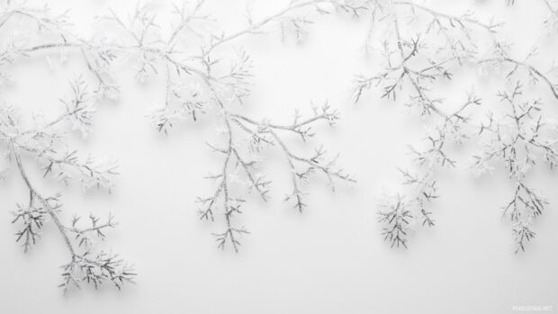 Cute winter desktop wallpaper with elegant pattern of snowflakes and icy branches.