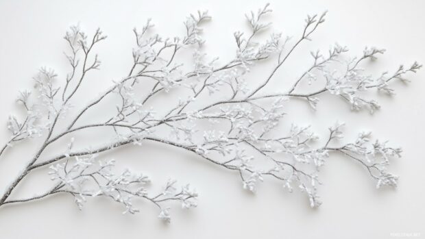 Cute winter with frosted branches glistening in the soft morning light.