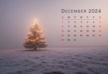 December 2024 Calendar Christmas Desktop Wallpaper.