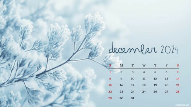 December 2024 Calendar Desktop 1080p Wallpaper.