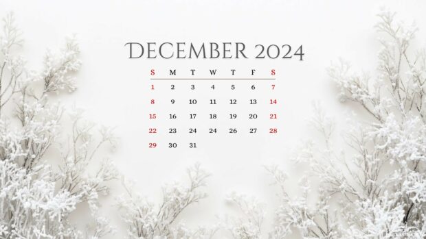 December 2024 Calendar Desktop Background HD .