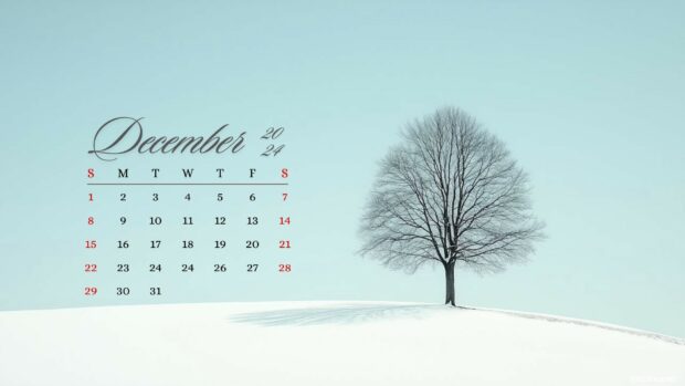 December Winter 2024 Calendar Desktop Wallpaper 1080p.