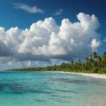 Desktop 1080p HD wallpaper with a secluded beach, palm trees swaying in the wind, and a sky filled with billowy white clouds.