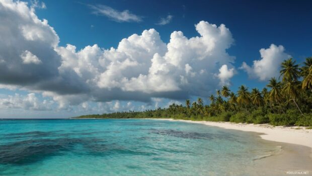 Desktop 1080p HD wallpaper with a secluded beach, palm trees swaying in the wind, and a sky filled with billowy white clouds.