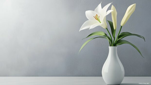 Desktop wallpaper 1920x1080 with a clean, white ceramic vase with a single flower on a light gray background, minimalist and serene.