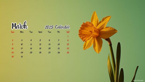 Download Free March 2025 Calendar Desktop Wallpaper HD 2.