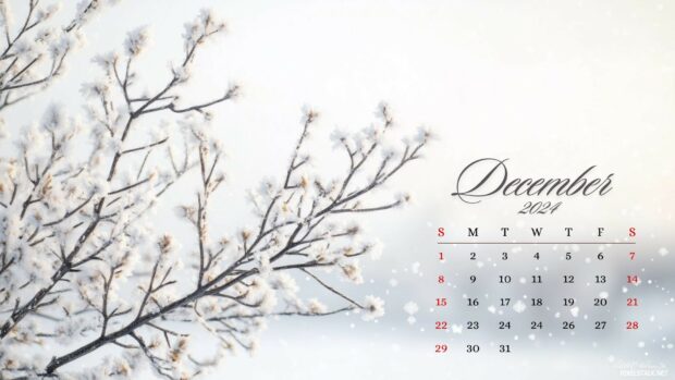 Download free December 2024 Calendar Desktop Wallpaper.