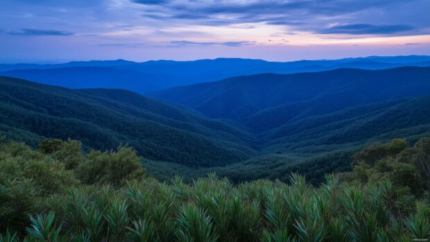 Dramatic blue Mountain ridges bathed in the glow of moonlight.