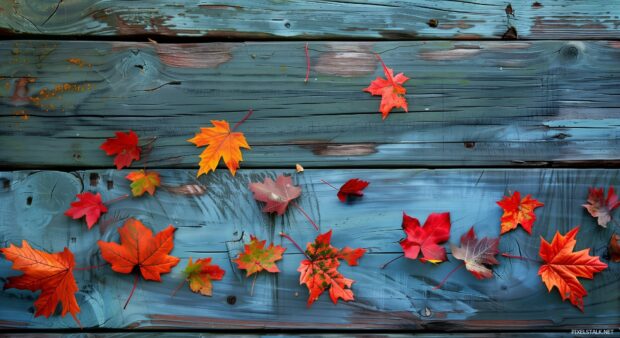 Fall leaves scattered on a wooden surface.