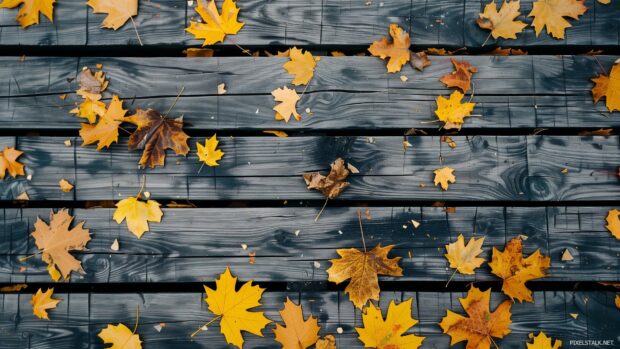 Fall leaves scattered on a wooden surface, Cozy fall desktop wallpaper.