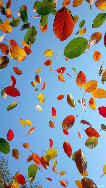 Fall phone wallpaper with Autumn leaves in various colors falling gently against a clear sky.