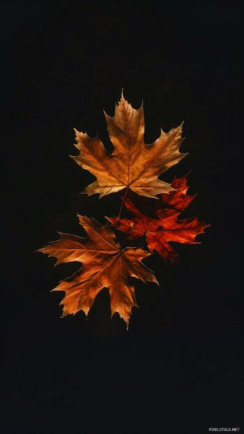 Fall phone wallpaper with sparse autumn leaves with negative space.