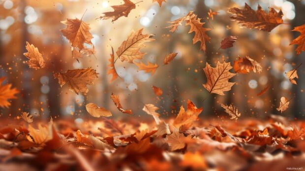 Falling leaves 2K background.