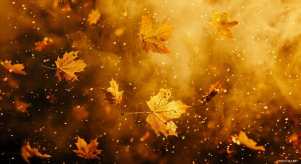 Falling leaves background, High quality photography.