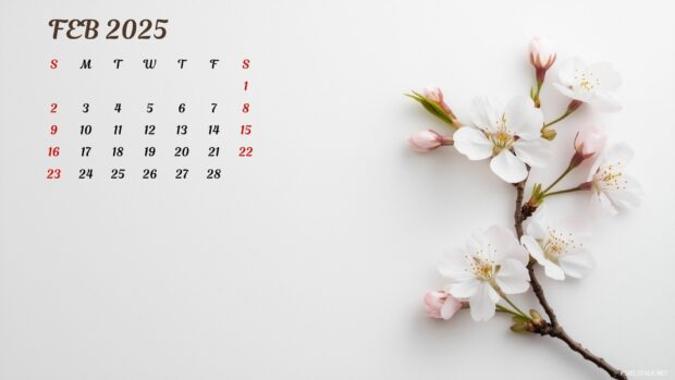 February 2025 Calendar.