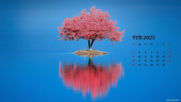 February 2025 Calendar Backgrounds.