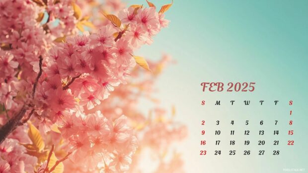 February 2025 Calendar Backgrounds HD.