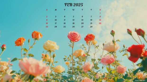 February 2025 Calendar Computer Wallpaper HD.