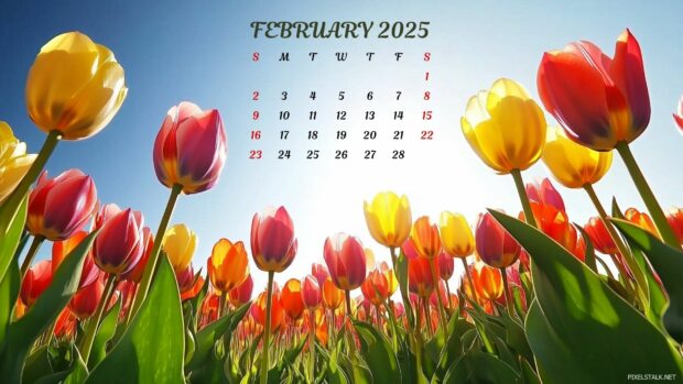 February 2025 Calendar Desktop Backgrounds.