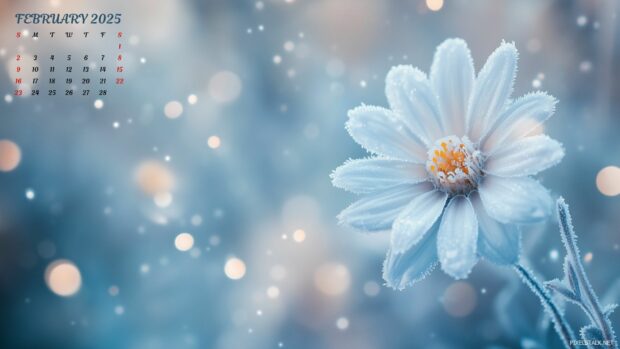 February 2025 Calendar Desktop Backgrounds HD 1080p.