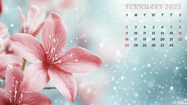 February 2025 Calendar Desktop Flower Image.