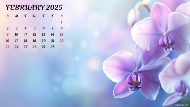 February 2025 Calendar Desktop Wallpaper 1920x1080.