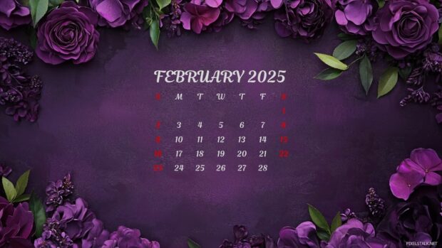 February 2025 Calendar HD Wallpaper Free download.