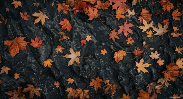 Few scattered fall leaves on a soft textured surface.