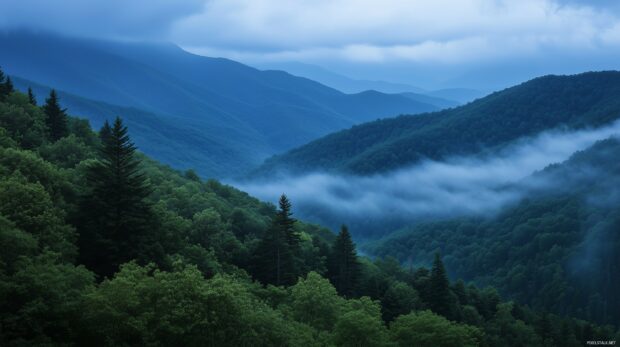 Fog rolling through deep blue Mountain valleys, creating an ethereal, tranquil atmosphere.