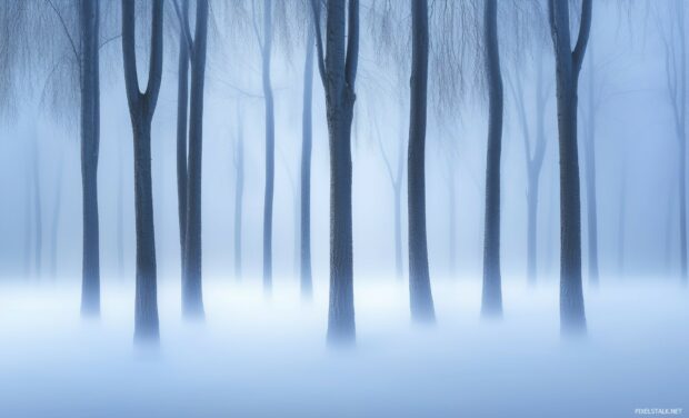 Foggy Forest Desktop Background with thick fog rolling between the trees.