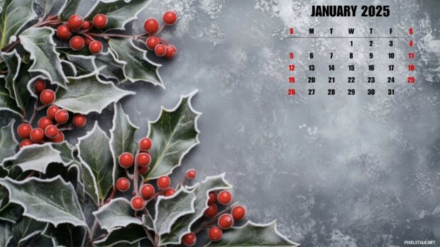 Free Download 2025 January Calendar Desktop Wallpaper.