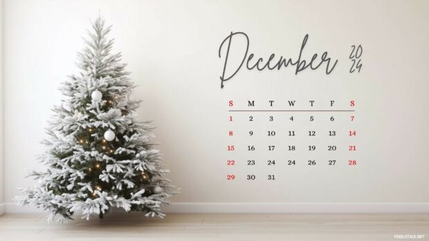 Free Download December 2024 Calendar Desktop Wallpaper.