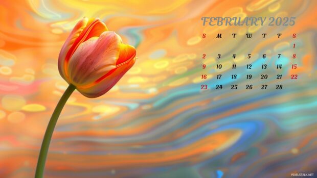 Free Download February 2025 Calendar Desktop Background.