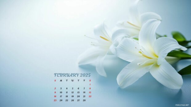 Free Download February 2025 Calendar Wallpaper HD for PC.