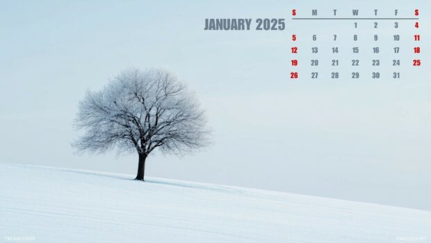 Free download 2025 January Calendar Wallpaper HD.