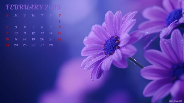 Free download February 2025 Calendar Wallpaper.