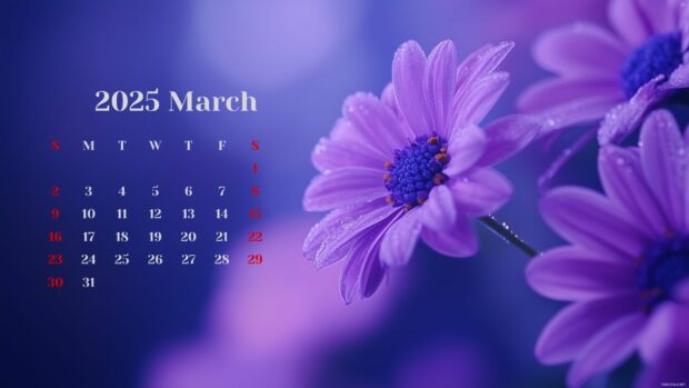 Free download March 2025 Calendar Desktop Background 5.