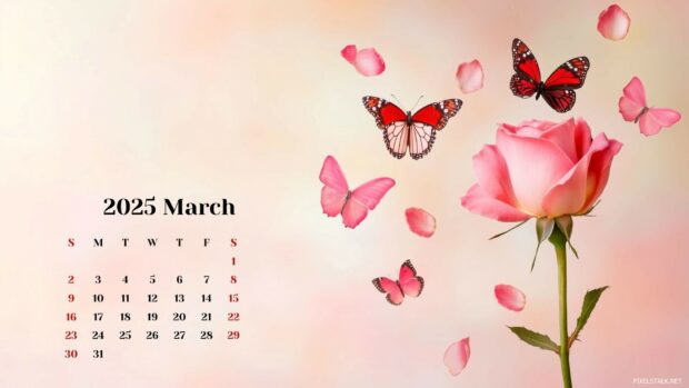 Free download March 2025 Calendar Wallpaper HD 1.