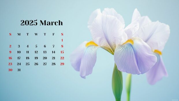 Free download March 2025 Calendar Wallpaper HD 5.