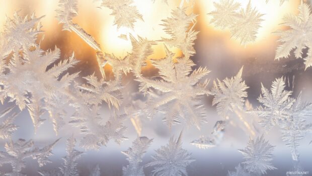 Frost covered window panes with a soft, diffused winter light shining through, cute winter background.