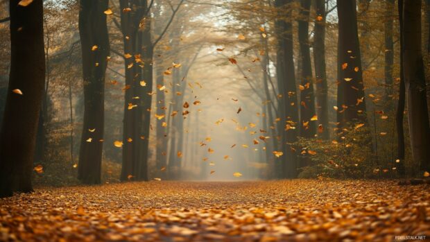 Golden autumn Forest Desktop Background with vibrant orange and yellow leaves falling gently from the trees, a winding path covered in leaves.