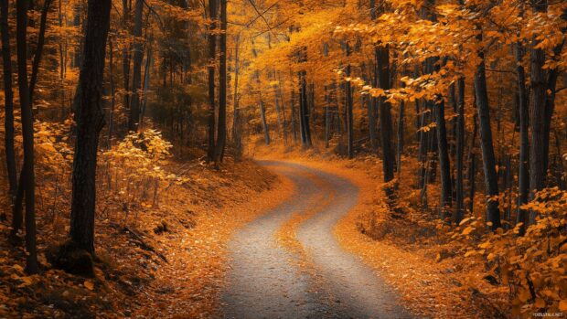 Golden autumn forest with vibrant orange and yellow leaves falling gently from the trees.