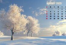 January 2025 Calendar Backgrounds.