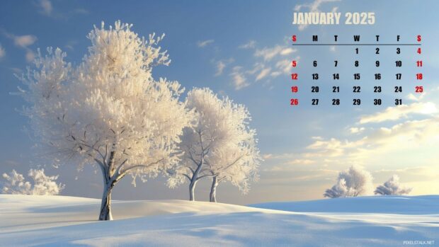 January 2025 Calendar Backgrounds.