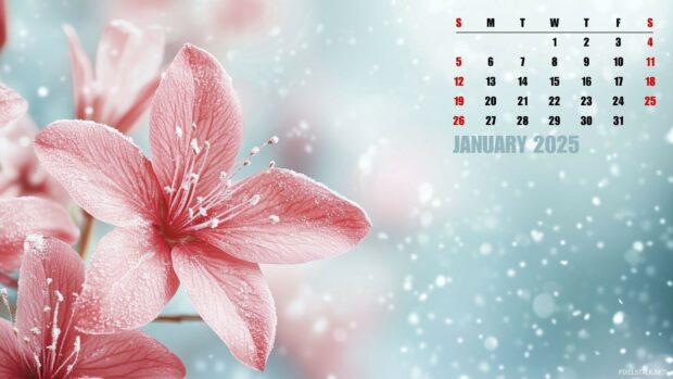 January 2025 Calendar Desktop Backgrounds.